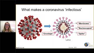 YWIB RTP  Operation Outbreak! A Virtual Webinar on Virus Biology for High School Students