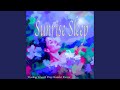 Fly Through the Sleeping Night
