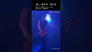 梟 / 罪の中、夜の中 - Ba.Yutara（2024.6.2）渋谷チェルシーホテル #shorts #梟ライブ