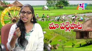 Rela Re  Rela Singer Ganga Latest Folk Song | Sakkani Saribanda Meeda |  Great Telangana TV
