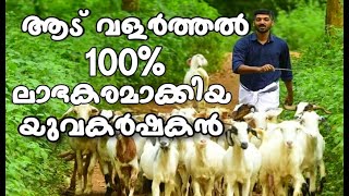 ആട് വളർത്തൽ ,Goat farm in kerala