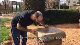 משחקי מילים מטופשים - חלק ג'