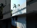 7 സെന്റ് 💥1000sq. ft💥3 bhk പുതിയ വീട് 33 ലക്ഷം