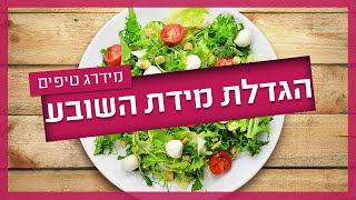 סיבים תזונתיים - כך תגדילו את מידת השובע