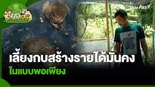 เลี้ยงกบสร้างรายได้มั่นคงในแบบพอเพียง | พอดีพอเพียง | 24 ต.ค. 67