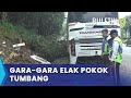 Bas Terbalik Tidak Sempat Mengelak Pokok Tumbang