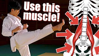 SECRET Muscle For Kicks... Only Taught In Japan ｜Hidden Karate Principles