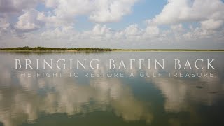 Bringing Baffin Back