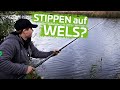 Ufernahes ABSPANNEN OHNE BOOT (Wallerangeln) | Step by Step Stillgewässer #6