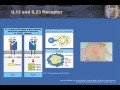 t cell effector function part 1 th 1 and 2 in granulomatous infection autoimmunity and allergy