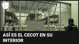 Univision entra a la megacárcel de Bukele: celdas de presos sin colchonetas ni c