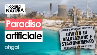 Le SPIAGGE BIANCHE di Rosignano: la verità dietro i \