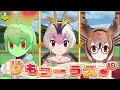 ちからくらべ6戦分　けものフレンズ3