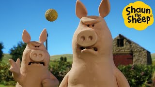 Shaun the Sheep 🐑 Pig Panic - Cartoons for Kids 🐑  Episodes Compilation [1 hour]