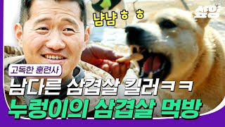 [#강력한웃음파워] 경계하다가도 삼겹살 앞에서는 무장해제? 산개 누렁이와 친해지기 위한 3년 간의 노력🐶 #고독한훈련사 #샾잉