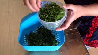 Como congelar cilantro para tus recetas