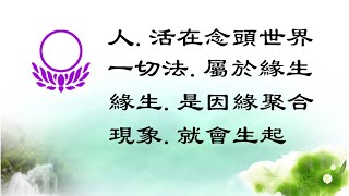 蓮臺法音，029-1金剛經-05Y-1一切法.屬於緣生。竹心(廖榮尉)居士宣講。