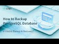 How to Backup PostgreSQL Database in VInchin Backup & Recovery?