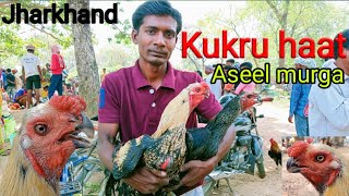 Kukru haat Aseel murga || murga market Jharkhand | @Mantuvlog 🐓