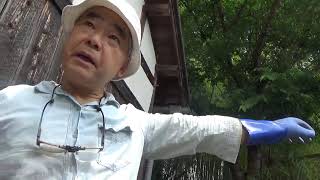 たまたま春日神社をお掃除してた人に百済大寺の関係を春日神社（元は高部神社）で吉備真備の邸宅にあった神社と合祀した、と地元の詳しい歴史を教えていただいた！