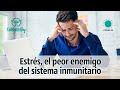 Estrés, el peor enemigo del sistema inmunitario