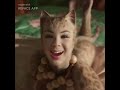 dance sing meow like cats raface app tij villamejor