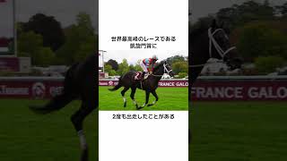 「ディープボンド」に関する雑学動画 #競馬 #競馬予想 #ウマ娘 #ディープボンド #京都大賞典 #毎日王冠