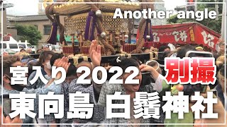 別撮 2022 東向島 白鬚神社例大祭 神輿渡御 宮入り