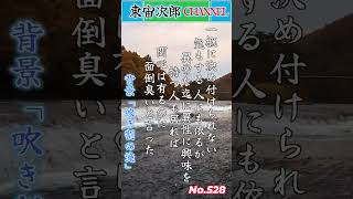 【宙次郎の本日の教訓】№528「婚姻に対する意識だが、結婚したいが出来ない。したくない。興味が無い！」日々の生活のヒントになって頂けたら幸いです。背景「吹き割の滝」 の１シーンより。＃shorts