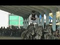 cavalcante ungherese fieracavalli verona 2016 hungarian horses magyar huszár