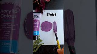 How to get Violet colour by acrylics | acrylic colour mixing for Violet #violet #colour