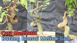 Membuat Batang Bonsai Meliuk Ekstrem