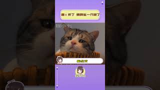 猫：坏了，传宗接代的锅冲我来了！#猫咪  #搞笑