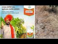 Bayer Allion plus Herbicide|बायर अलायन प्लस तणनाशक