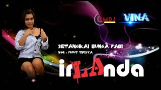 Setangkai Bunga Padi Voc; Puput Tifisya IRLANDA Ueenaak jaaackk LIVE In wonokasihan