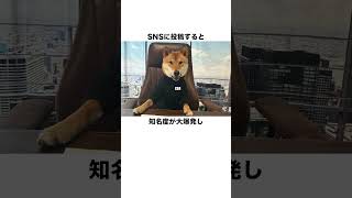 柴犬コインがバブルを迎えることができない理由  #shorts  #ビットコイン　#投資 　#仮想通貨　 #btc  #ethereum  #etf  #shibainu