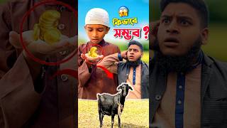 আব্দুল আওয়াল এর কুরবানি 😍 #bayazid0007 #trending #hasbunallohstv #viral #shorts #ytshorts