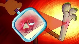 Zig & Sharko 😂 TINY TINKY BERNIE - Compilation in HD