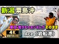 【新潟粟島沖ライトジギング】 東京湾タチウオジギングそのまんまタックル Ace 4K 2024年10月26日 #98