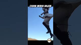 나는 왜 안되는거야 #funny #웃긴짤 #웃긴영상 #웃긴동영상