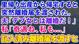 【スカッとする話】里帰り出産から帰宅すると突然、夫「お前みたいなデブとは離婚だ！」と離婚届を渡された。私「奇遇ね、私も…」→記入済みの離婚届を渡した結果【修羅場】