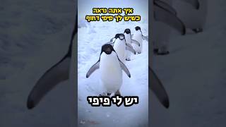 כשיש לך פיפי דחוף