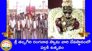 శ్రీ తల్పగిరి రంగనాథ స్వామి వారి దేవస్థానంలో పల్లకి  ఉత్సవం