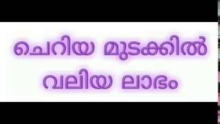 Lower investment business ideas! ചെറിയ മുടക്കിൽ വലിയ വരുമാനം