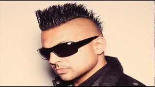 Sean Paul Ft Pitbull -- She Doesnt Mind (Official Remix) HD