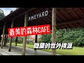 隐藏在janda baik的森林cafe | Pineyard