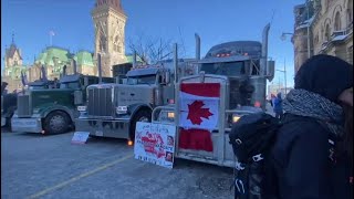 Trucker convoy: Timeline of the protest weekend