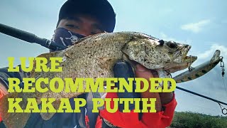 Mancing Ikan Kakap Putih dengan Umpan Tiruan || J-seven Lure Tipe Gisele 45s