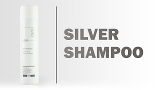 Silver Shampoo - Dusy