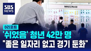 '쉬었음' 청년 42만 명…\